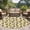 Light Beige Red Orange Dark Yellow, variant on Round Area Rug 6 Ft, Summer Pineapple Washable Non-Slip Circle Carpet for Living Room/Bedroom, Retro Country Tropical Plants Fruit Low-Profile Indoor Mats Collection Rugs for Residential