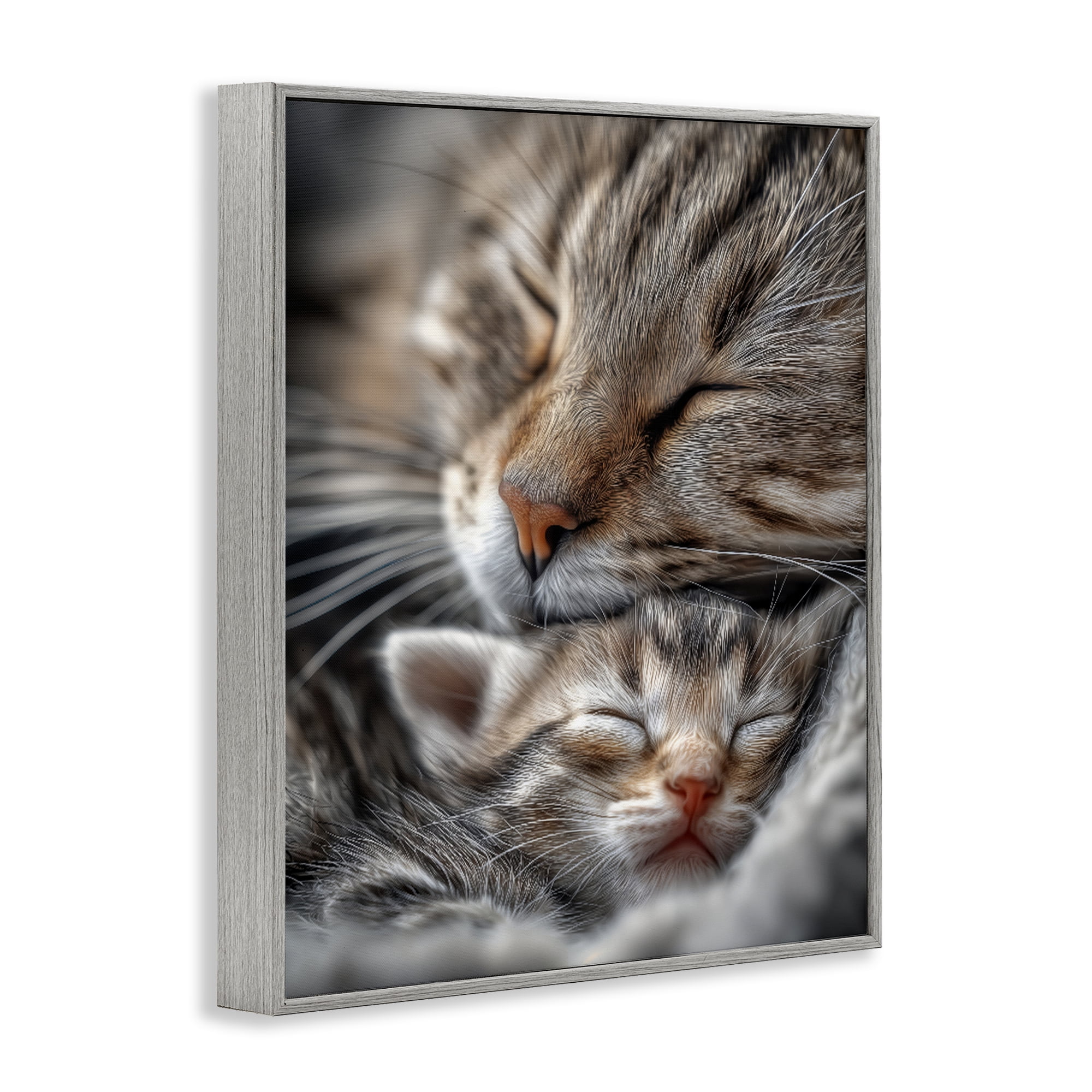Stupell Industries Kitty Love Cuddles Gray Framed Giclee Art, design by Scott Stulberg