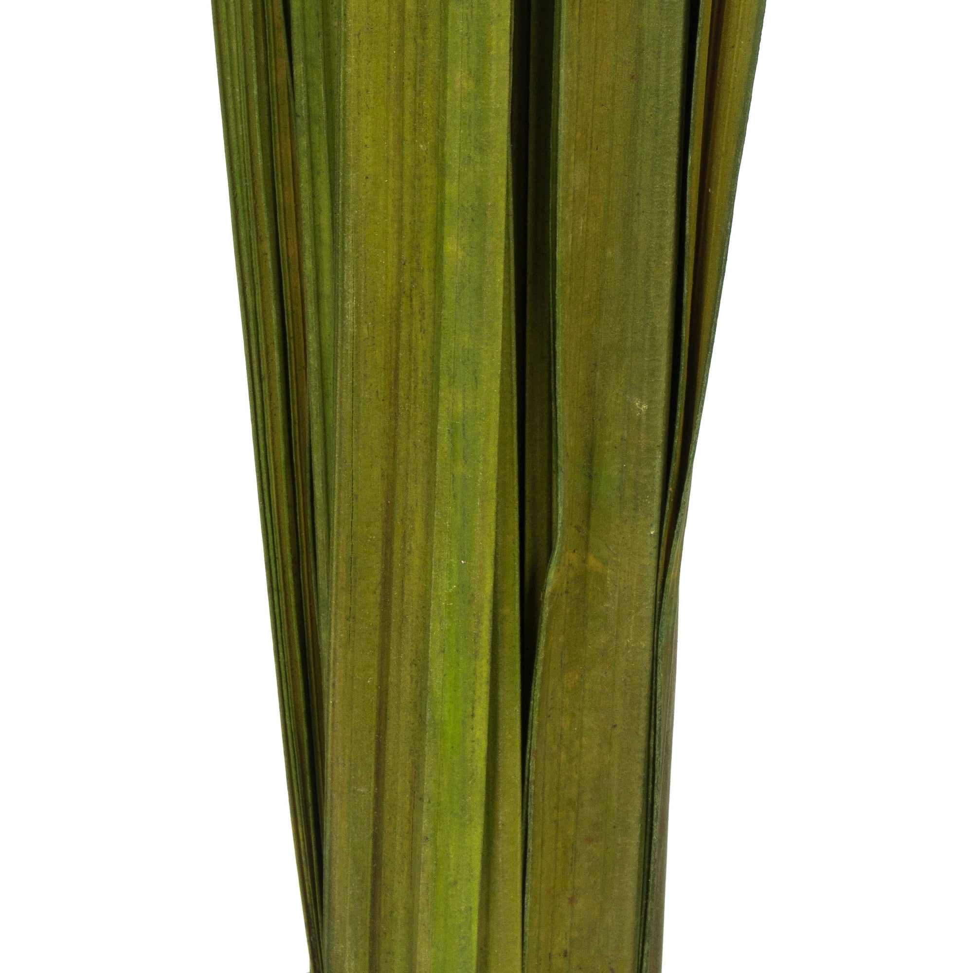 Vickerman 36-40" Foliage Green Sable Grass, 7 oz Bundle, Dried