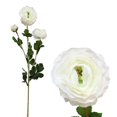 thumbnail image 1 of Danson Decor Ranunculus spray with buds, 1 of 1