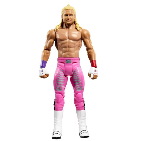 WWE Dolph Ziggler Basic Action Figure, 6"