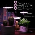 thumbnail image 2 of Full Spectrum Phyto Grow Lamp Indoor Lights For Flowers Durable Succulents Plants Growth Lighting USB Phytolamp LED, 2 of 24