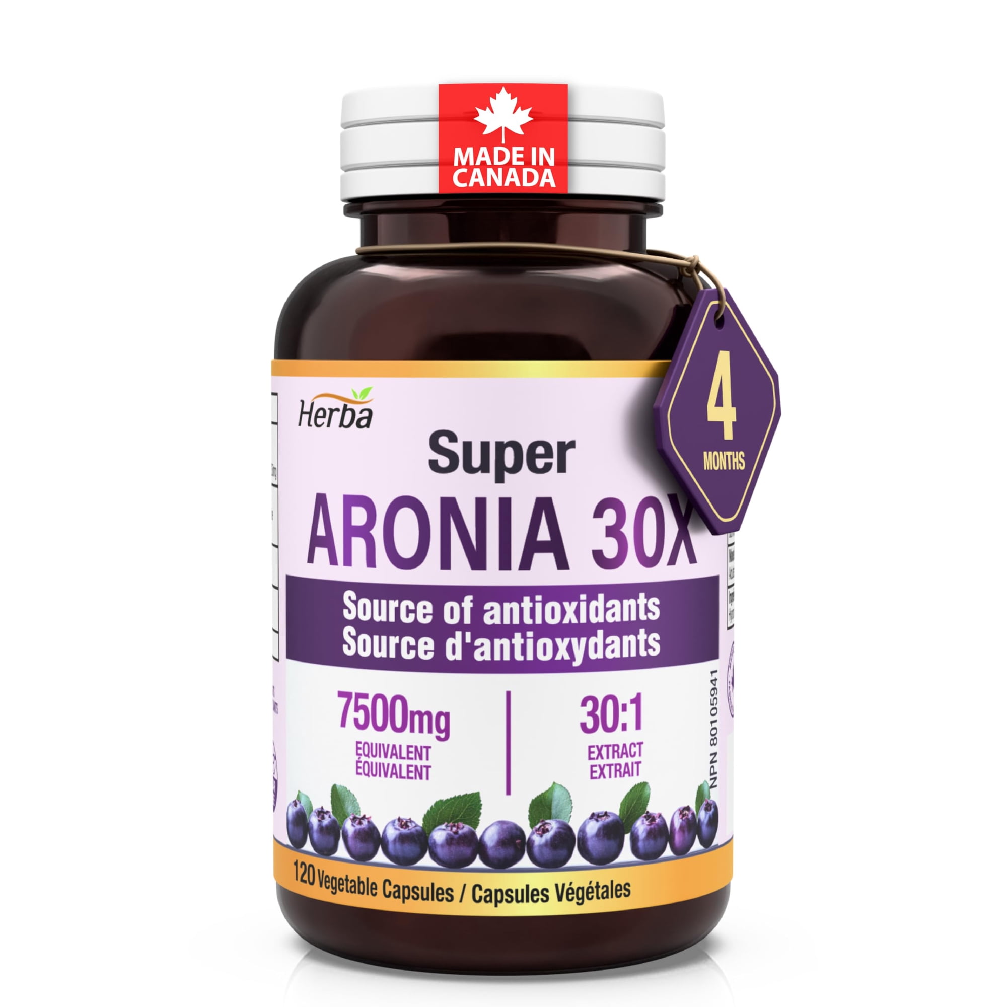 Herbal Island Aronia Berry 4:1 Extract Capsules - 60 Count - Antioxidant Supplement (Free Shipping)