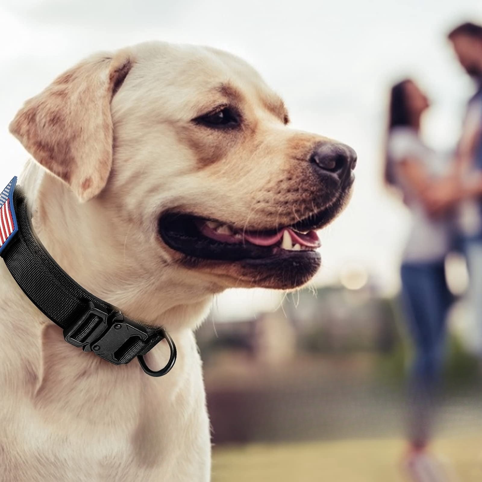 mirlewaiy Tactical Dog Collar Leash Set, Adjustable Military Training Nylon Dog Collar with Controll Handle and Heavy Metal Buckle for Medium and Large Dogs，with Patches and Airtags Case