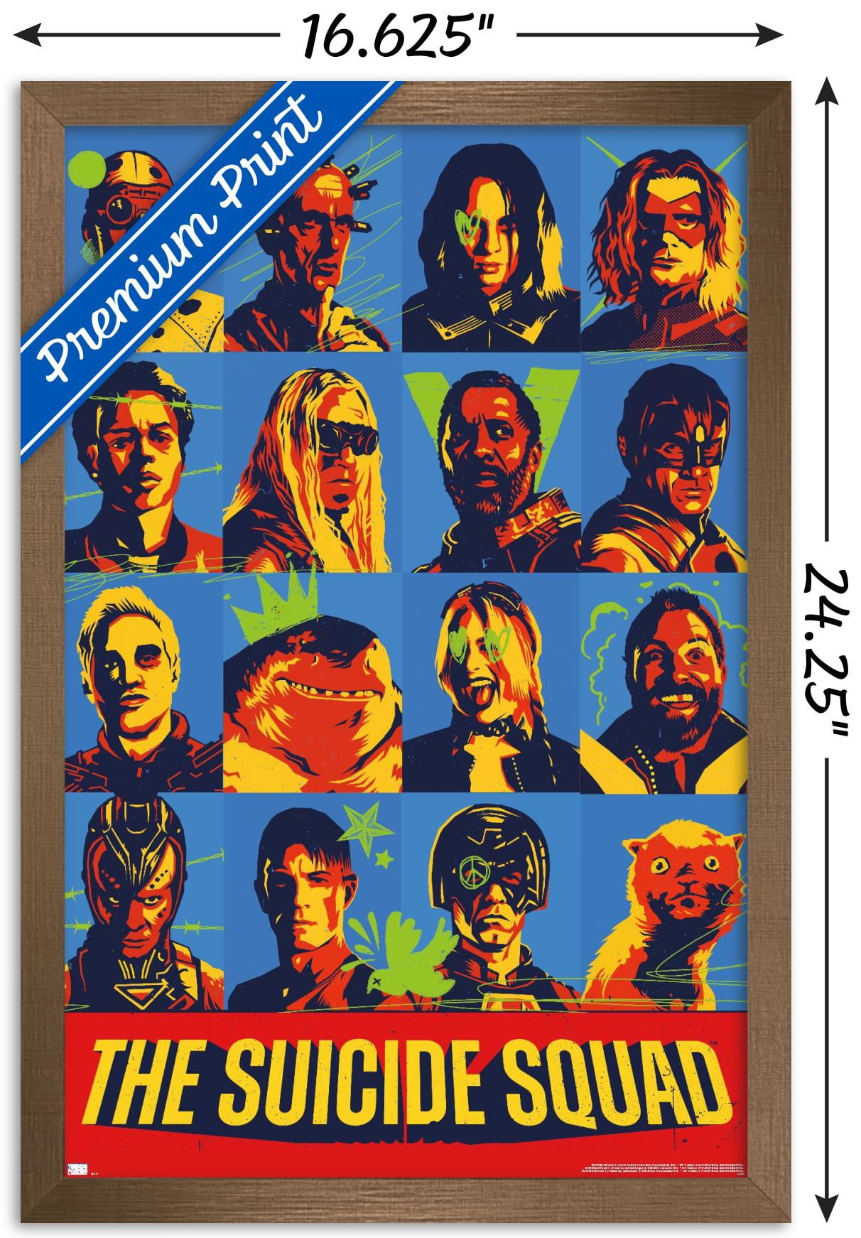 DC Comics Movie The Suicide Squad - Grid Wall Poster, 14.725" x 22.375", Framed