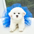 thumbnail image 5 of Pet gauze skirt Summer pet strap gauze skirt Dog skirt Princess gauze skirt-l, 5 of 5