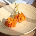 thumbnail image 2 of facefd Artificial Rice Seed Fruit Flower Rustic artificial Flower Wedding Party Floral Decor Home Ornament, Orange, 2 of 3