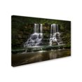 thumbnail image 2 of Trademark Fine Art 'Waterfall' Canvas Art by Abbas Ali Amir, 2 of 3