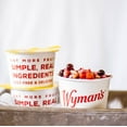 thumbnail image 2 of Wyman's Just Fruit & Banana Bites, 4 Pack of 2.3 oz Cups (Frozen), 2 of 10