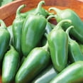 thumbnail image 3 of Burpee Jalapeño Early Hot Pepper Vegetable Seed, 1-Pack, 3 of 5
