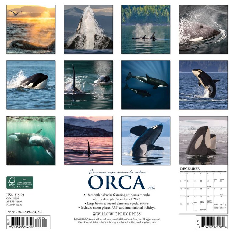 Amazon.com: Orca Killer Whale Calendar 2025 Orcas Monthly