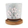 thumbnail image 1 of Succulent Pots  3 Inch  Design for Succulent/Cactus  Ceramic Succulent Cactus Planter Pots with Bamboo Tray(Plants NOT Included), 1 of 6