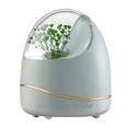 thumbnail image 2 of Humidificador difusor de aceite esencial Perfecl 400ml decoración para hogar lámpara de noche apagado automático nieb Verde, 2 of 7