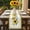 Yellow Black, variant on Sunflower Table Runner - 120 Inch Long, Kitchen Dining Table Runner Dresser Scarves, Yellow Flowers Black White Plaid Farmhouse Botanical Farmhouse Decor for Coffee Tables Wedding Party Banquet