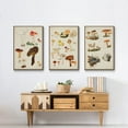 thumbnail image 6 of Mushroom Species X - Framed Premium Gallery Wrapped Canvas L Frame 3 Piece Set - Ready to Hang, 6 of 9