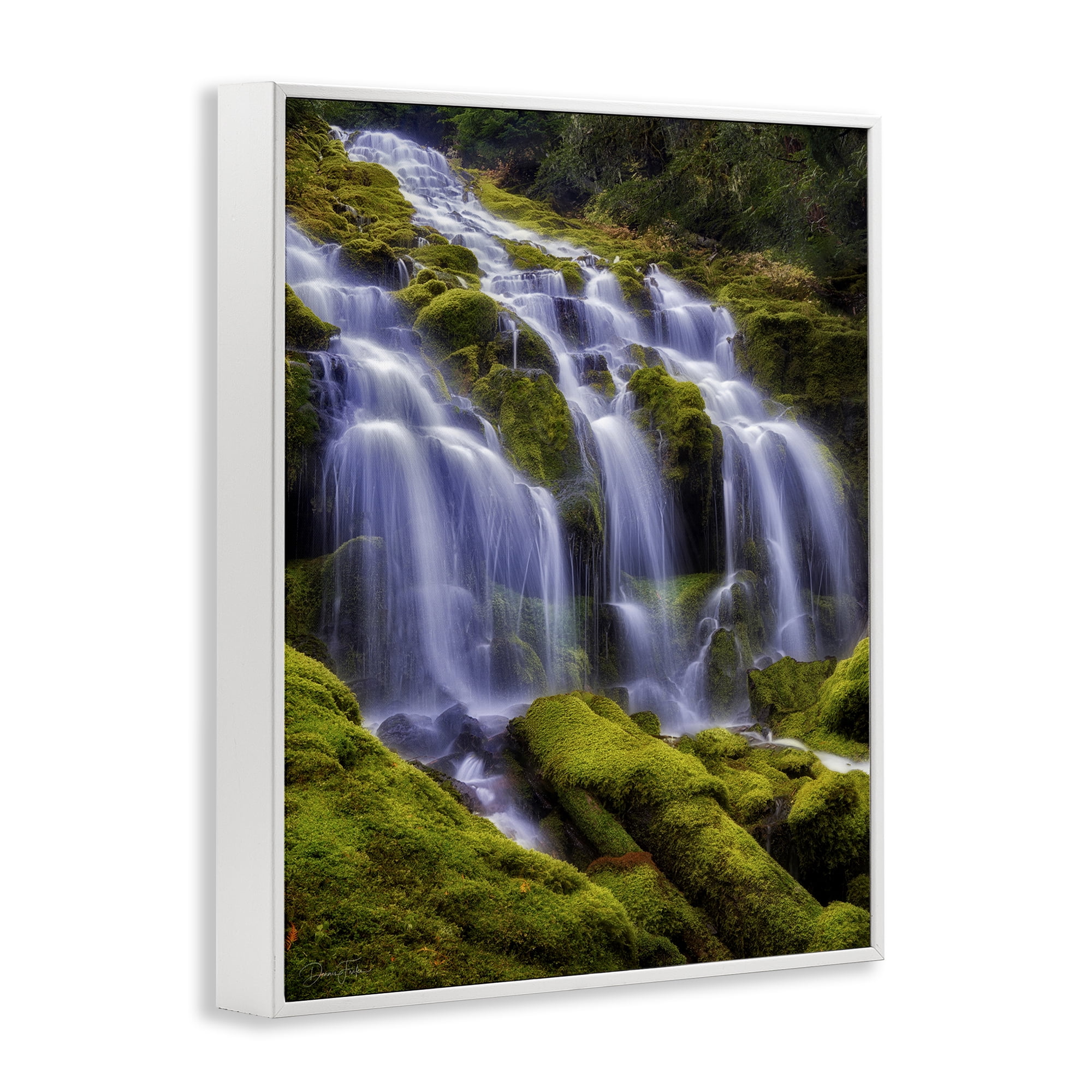 Stupell Industries Upper Proxy Falls White Framed Giclee Art, design by Dennis Frates