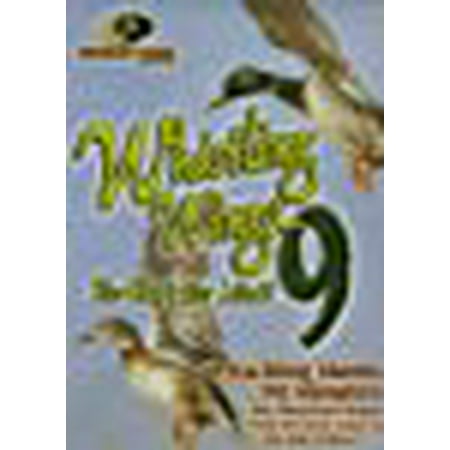 Whistling Wings - Whistling Wings 9: The Sky's the Limit