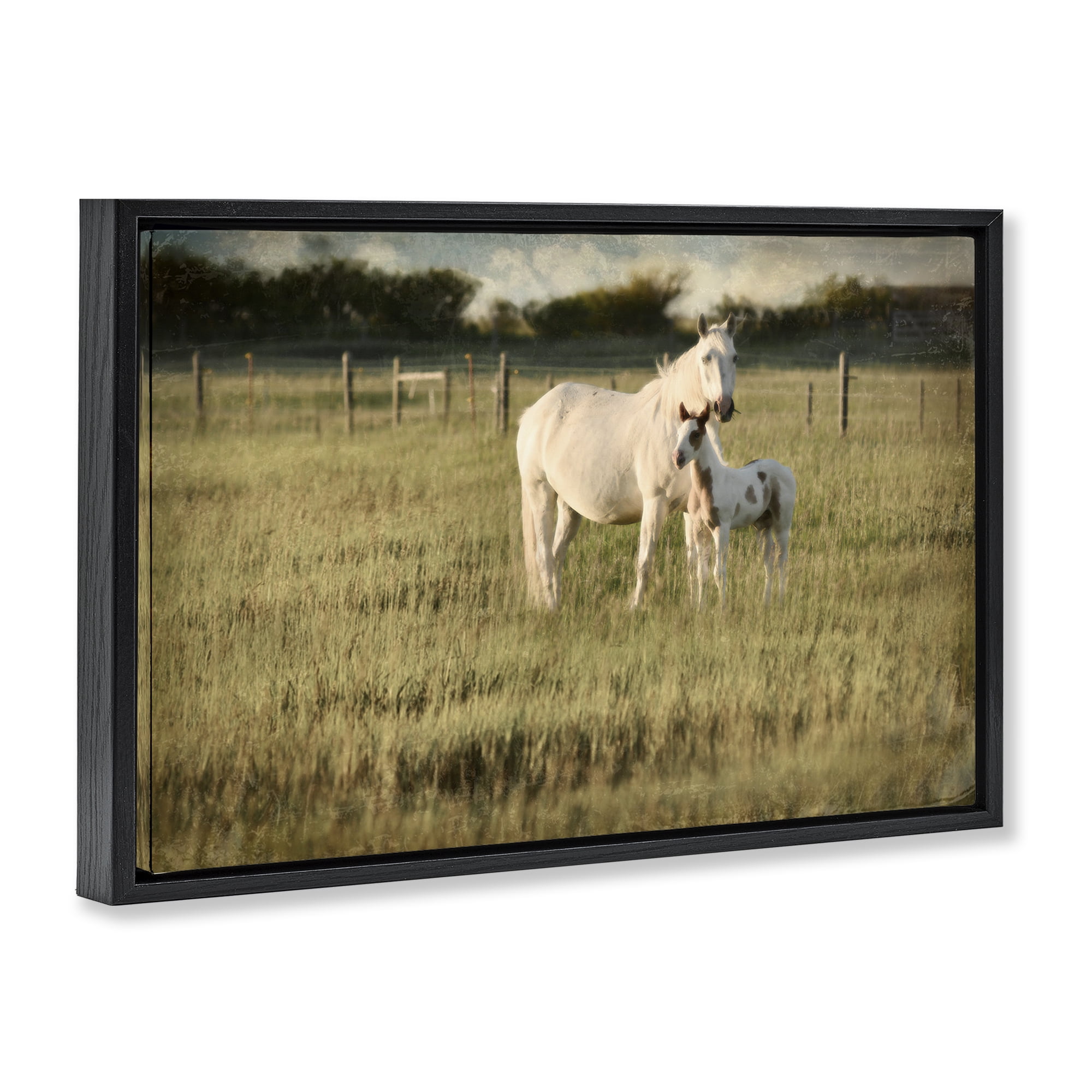 Stupell Industries Rural Horse and Foal Landscape Photography Black Floater Framed Canvas Art Print Wall Art, 25 x 17