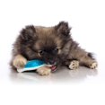 thumbnail image 4 of FFIY Jouet à Mâcher pour Chien Tuff Bone Bacon Parfumé - Grand, 4 of 5