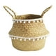 thumbnail image 1 of Cesta de mimbre de algas marinas para plantas de interior, cesta grande de 26 cm, cesta tejida bohemia redonda con asas para macetas, almacenamiento, lavandería, picnic, comestibles, interior., 1 of 7