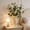 Z, variant on Simulated Rose Jasmine Smiling Flower Fake Flower Lights Luxury Indoor Home Decor For Living Room And Bedroom Z