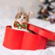 thumbnail image 1 of Bocqde 2 piezas de cascabeles para mascotas, collar de lazo, decoración navideña para gatos y perros, suministros para mascotas, regalos de Navidad, ¡liquidación!, 1 of 7