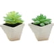 thumbnail image 1 of 2 uds simulación de plantas suculentas en macetas, pequeños adornos creativos para interiores, flores artificiales y plantas verdes, 1 of 5