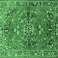 thumbnail image 1 of Ahgly Company Indoor Square Persian Emerald Green Traditional Area Rugs, 5' Square, 1 of 4