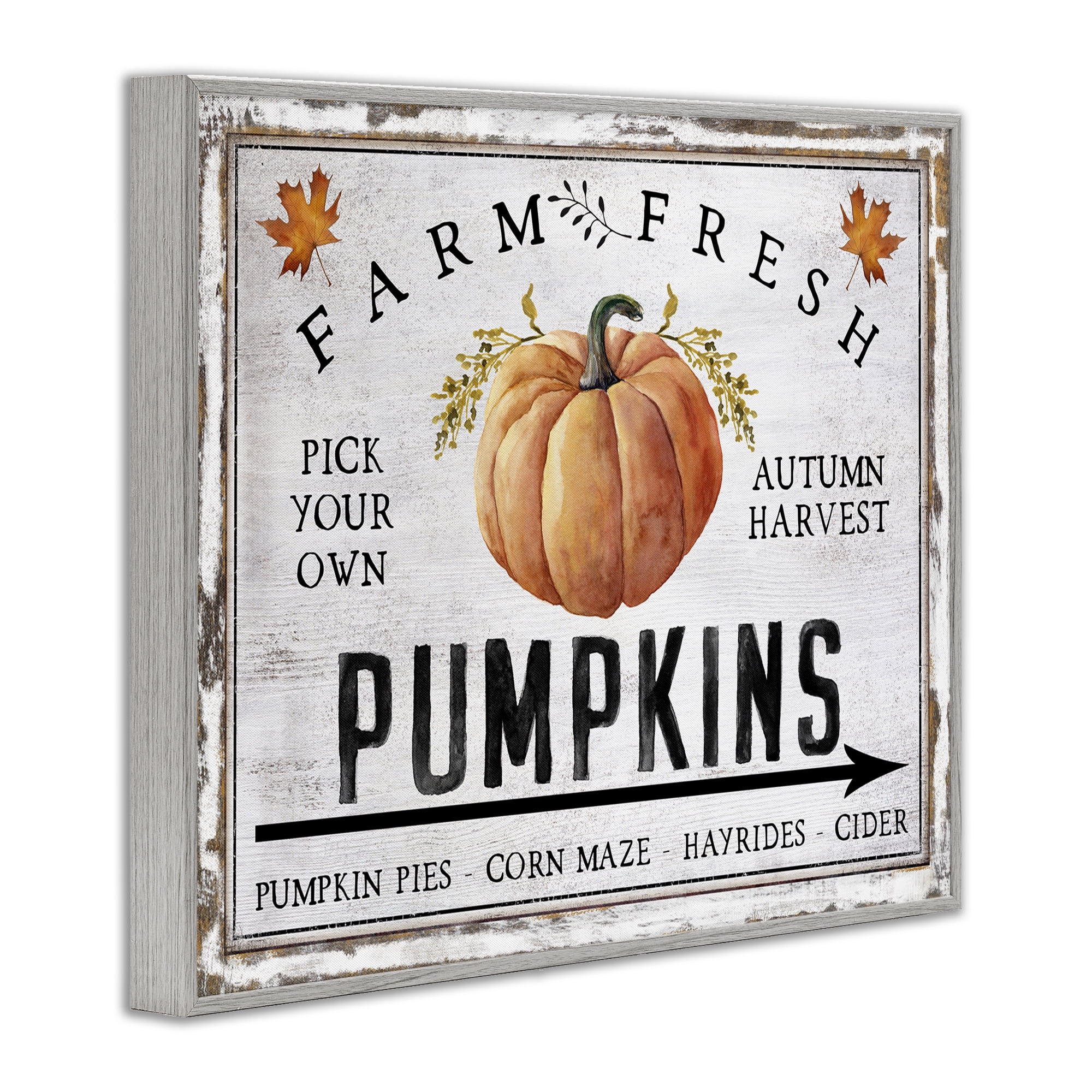 Stupell Industries Farm Fresh Pumpkin Holiday Painting Gray Framed Art Prints Wall Art, 20 x 16
