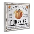 thumbnail image 3 of Stupell Industries Cottage Farm Fresh Pumpkin Gray Framed Giclee Art, 14 x 11, by Creatif Belle, 3 of 8