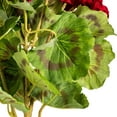 thumbnail image 6 of Vickerman 18" Artificial Red Geranium Bush, 4 per Pack., 6 of 8