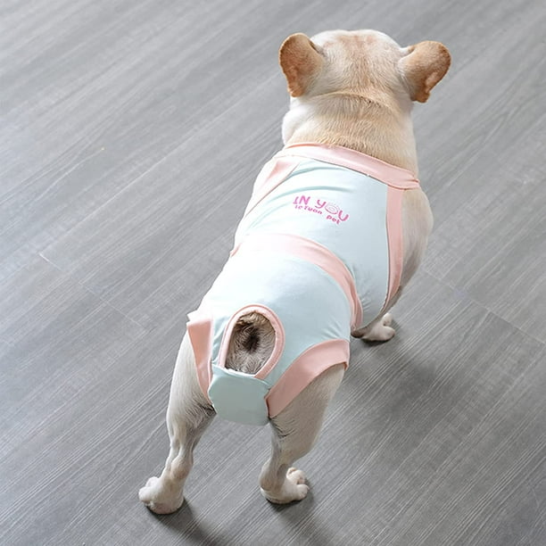 Dog period panties discount