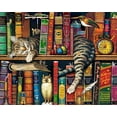 thumbnail image 1 of TISHIRON Paint by Numbers for Adults - 16"x20", DIY Oil Painting Charles Wysocki Adult Paint by Numbers Kits on Canvas, Frederick The Literate Painting Kits for Kids - Cats & Books, 1 of 7