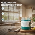 thumbnail image 2 of FPN Odor Eliminating Candle Set, Tropical Breeze, Pack of 2 (12oz) 90-Hour Burn Time | Soy Wax Candles | Neutralizes Pet, Kitchen, & Smoke Odors | Eco-Friendly & Long-Lasting, 2 of 9