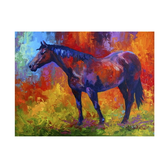 Trademark Fine Art Marion Rose Bay Mare I Canvas Wall Art - 14x19