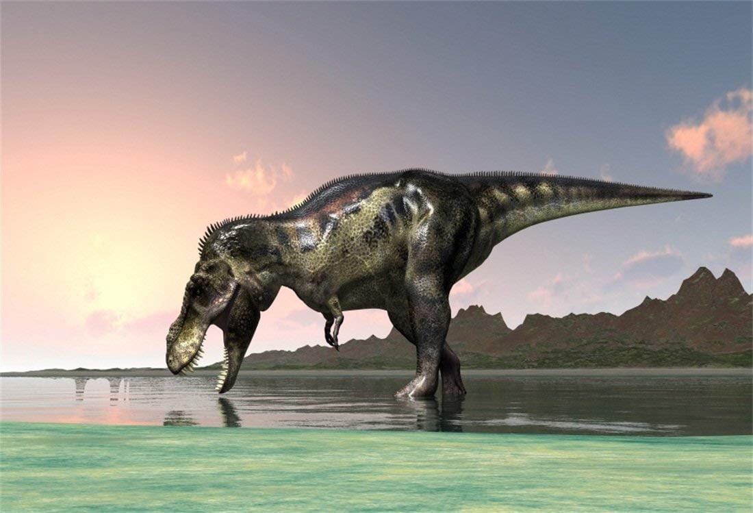 t rex is a carnivore