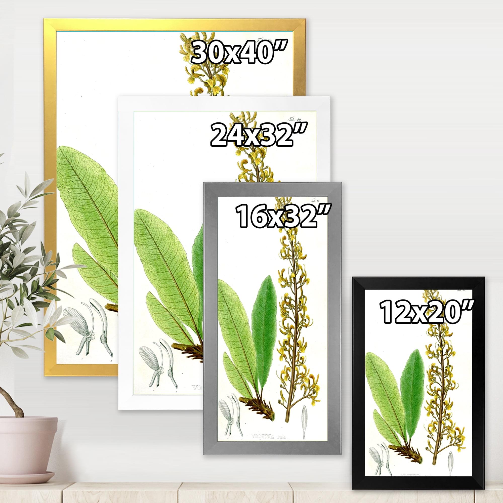 Designart 'Ancient Brazilian Plant IV' Traditional Framed Art Print