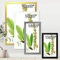 thumbnail image 4 of Designart 'Ancient Brazilian Plant IV' Traditional Framed Art Print, 4 of 4