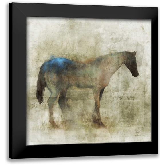 Roko, Ken 12x12 Black Modern Framed Museum Art Print Titled - Lone Star 1