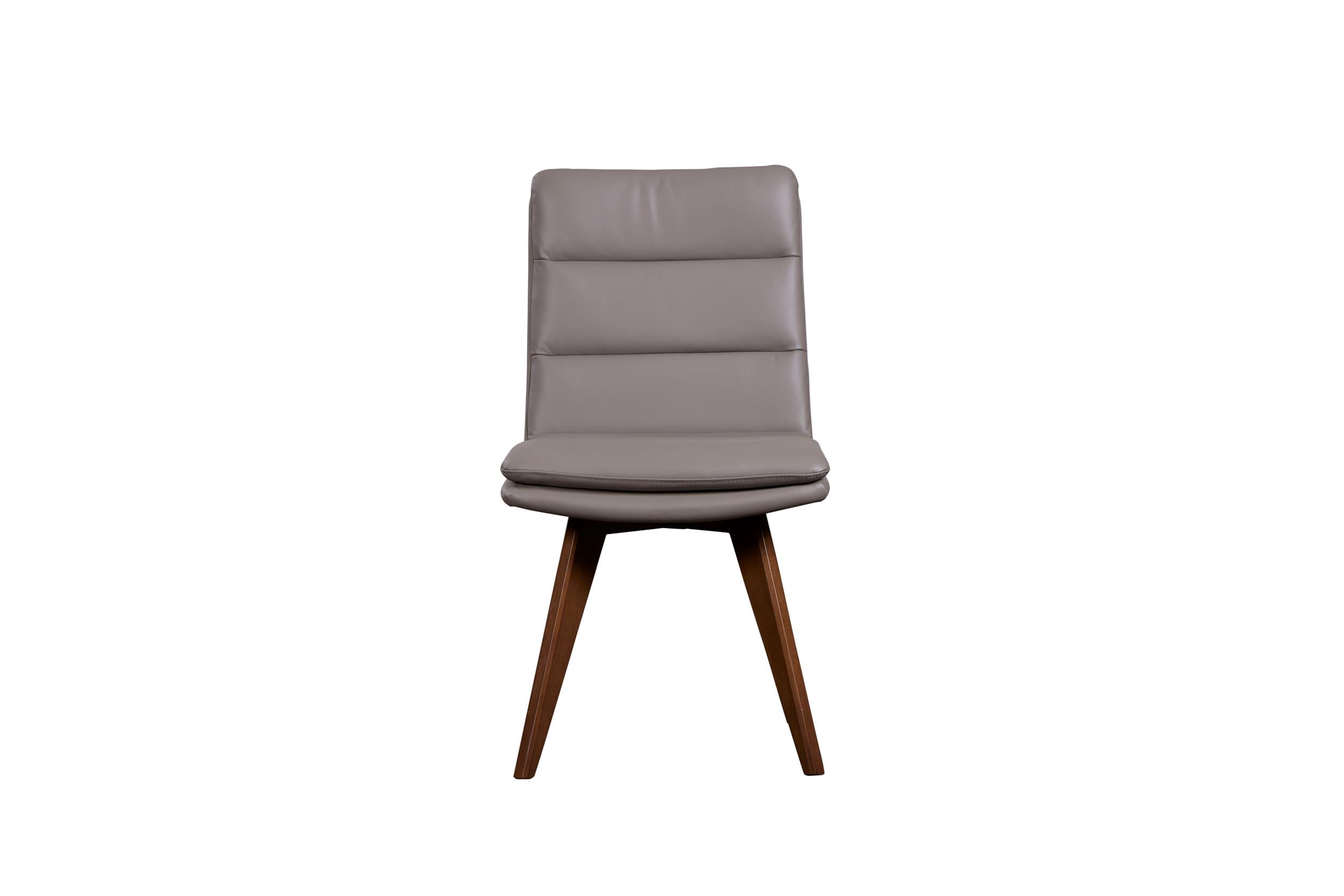 Porter Designs Castor Genuine Leather Dining Chair in Gray (Set of 2)
