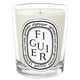 thumbnail image 1 of Vela Diptyque Figuier, 1 unidad, 1 of 2