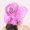 pink, variant on Fascinators Hat Mesh Hat Women's Floral Mesh Hat Sunshade Beach Hat Sun Block Hat Party Hat Wide Brim Sun Hat Beach Hat Pink One Size