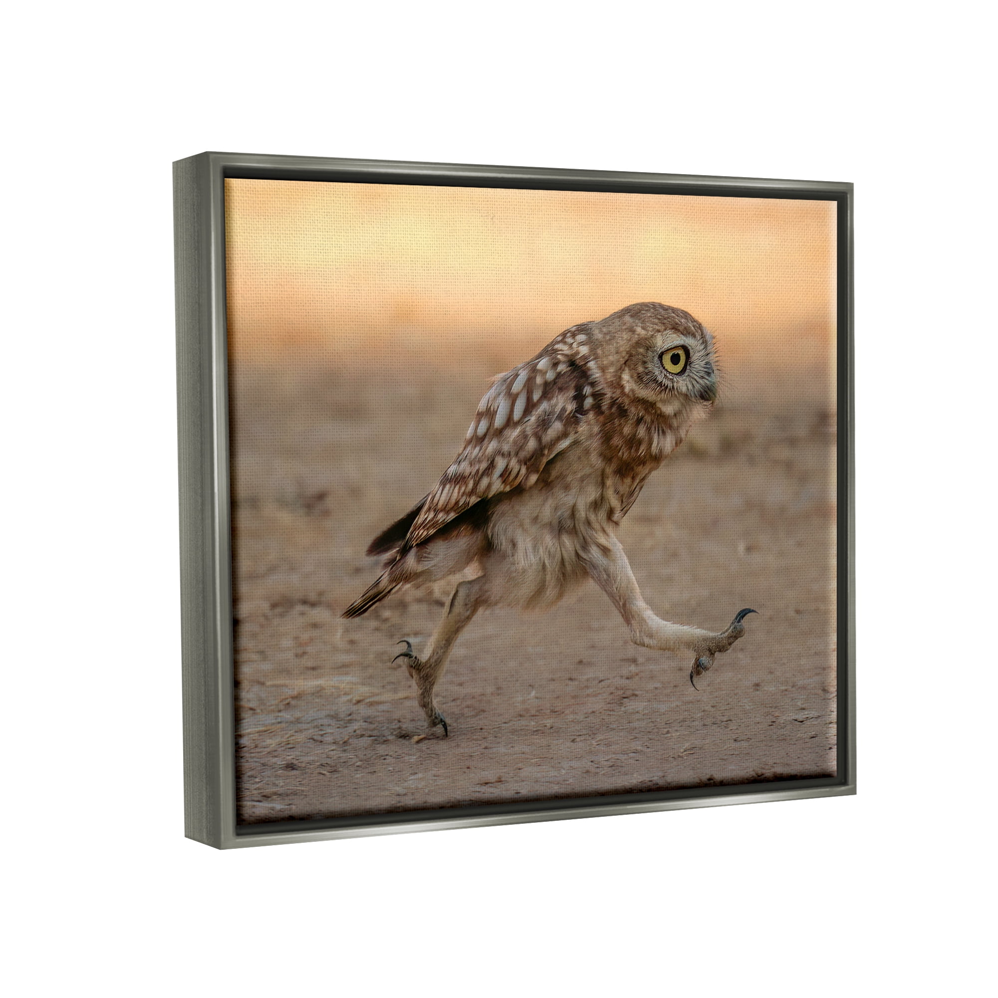 Stupell Industries Rushing Little Owl Animals & Insects Photography Gray Floater Framed Canvas Art Print Wall Art, 31 x 25