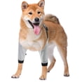 thumbnail image 1 of Dog Elbow Protector, Soft and Comfortable Cotton Polyester Blend Fabric Wound Elbow Protector Sleeve Elastic Cuffs Design Elbow Joint Support Strap for Calluses, 1 of 7
