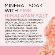 Dr Teals Epsom Salt Magnesium Soak, Restore & Replenish with Pink Himalayan Mineral, 3 lbs