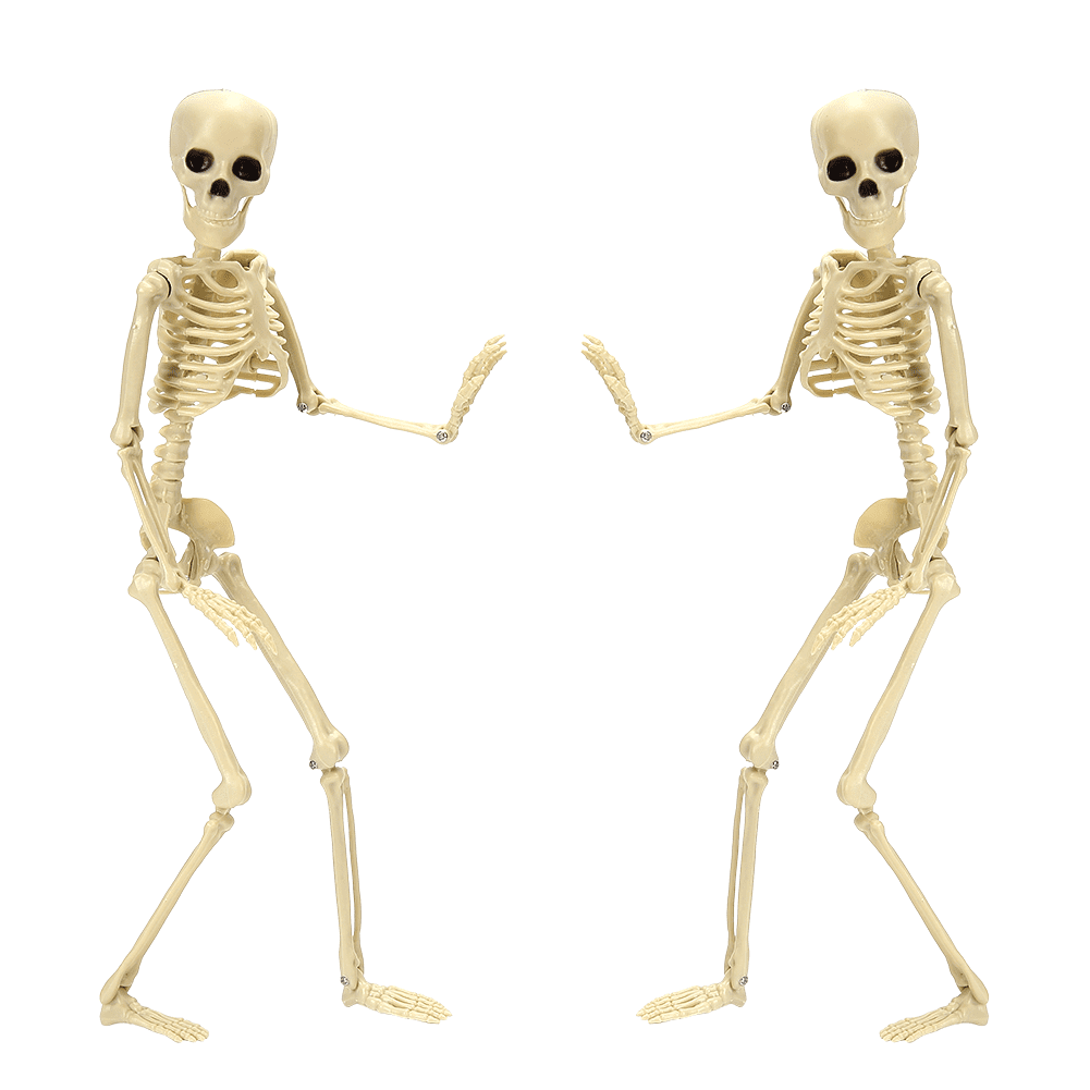 Skeleton Halloween Decoration, 2 Packs 16" Full Body Posable Joints