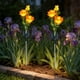 thumbnail image 4 of CaiYueKe Solar Powered Rose Garden Lights Outdoor Waterproof LED Decorative Lawn Stake Lights for Yard Pathway Patio Landscape Decor, 4 of 7