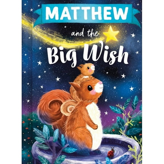 Big Wish Matthew and the Big Wish, (Hardcover)