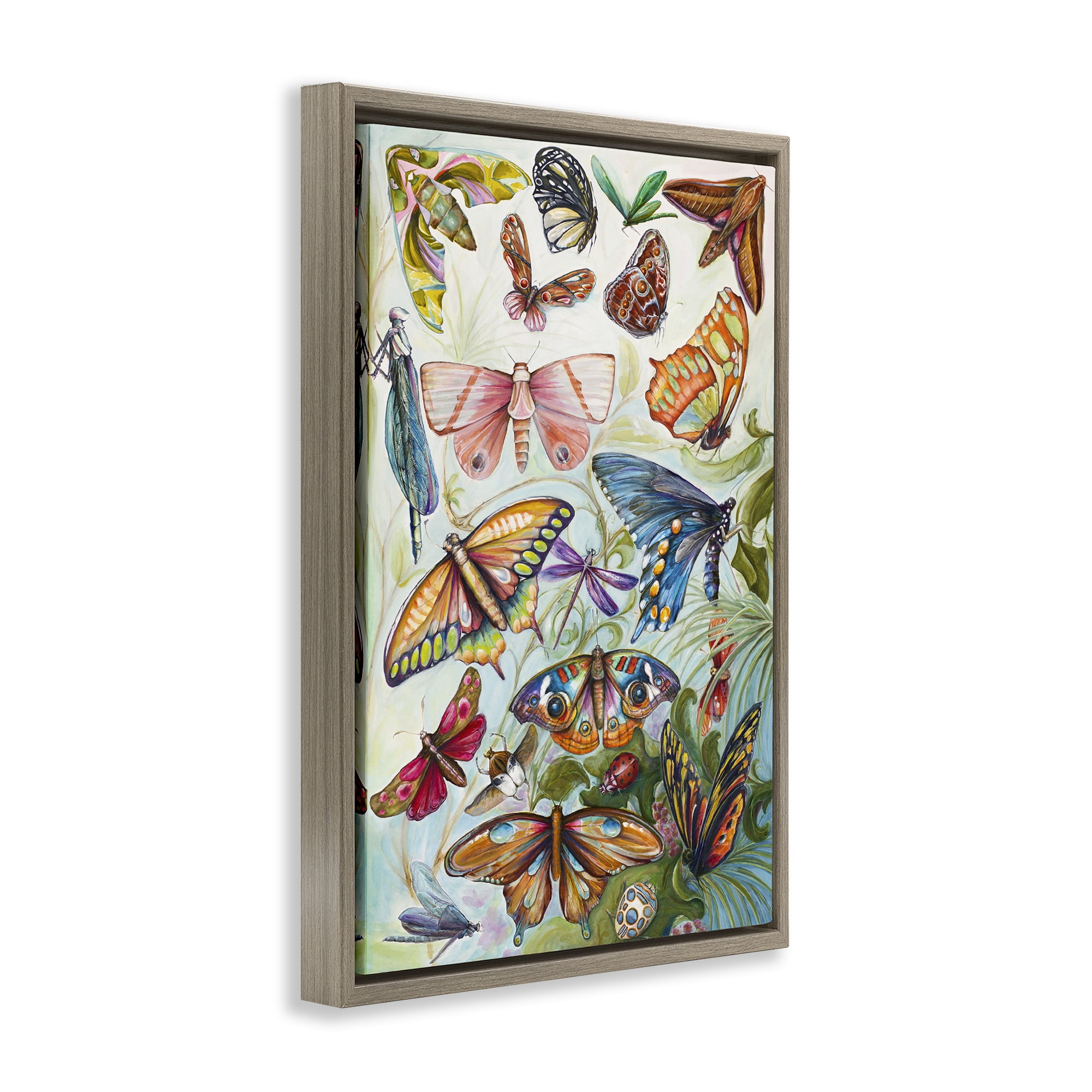 Stupell Industries Colorful Butterfly Conservatory Brown Framed Floater Canvas Wall Art, design by Diannart