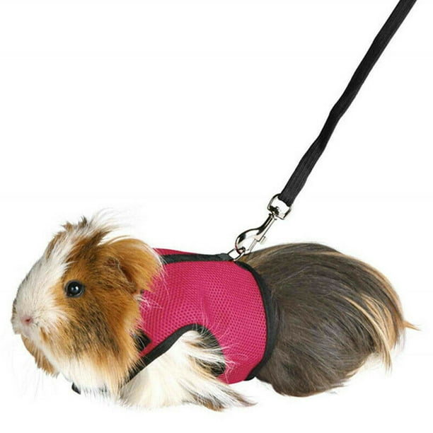 Breathable Soft Pet Rabbit Guinea Pig Rat Ferret Harness Lead Leash Set Walmart